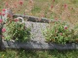 image of grave number 519174